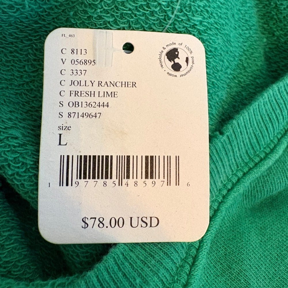 NWT We The Free Free People Camden Jolly Rancher Green Oversized Sweatshirt L - Picture 7 of 9
